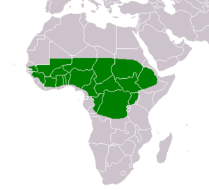 Vitellaria paradoxa distribution