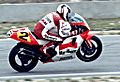 Wayne Rainey