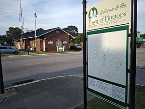 WelcomeSign-PinetopsNC.jpg