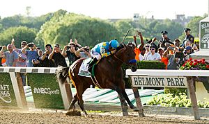 American Pharoah wins 2015 Belmont Stakes