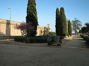 Barcelona - panoramio (135)