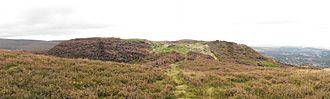 An outcrop covered in heather