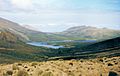 Campbell Island Landscape