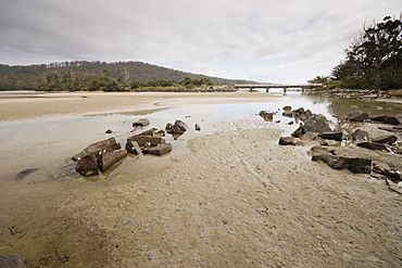 Cockle Creek.jpg