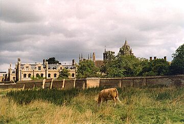 Coe Fen, Cambridge