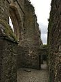 Dunbrody Abbey, north arcade