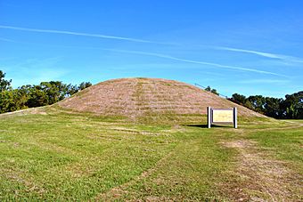 Emerald Mound Site.JPG