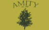 Flag of Amity, Arkansas