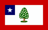 Flag of Mississippi (1861-1865).svg