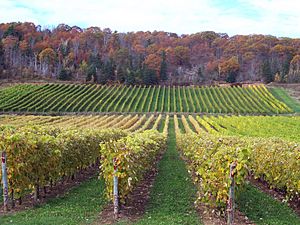 Gaspereau Vineyards, NS