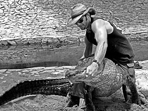 GilletteAlligatorWrestling