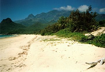 Hinchinbrook Island.jpg