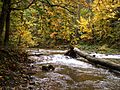 Jasiołka River park