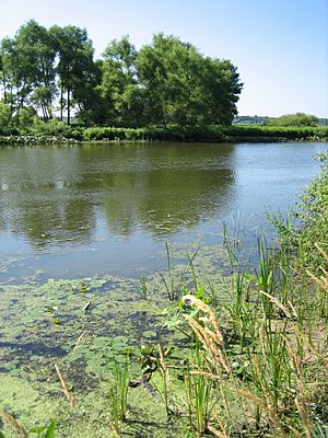 Kalamazoo River