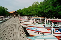 Laguna de La Restinga (2)