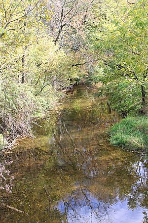 Little Buffalo Creek looking downstream