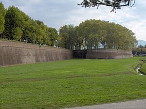 Lucca.city walls01