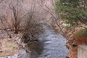 Marsh Creek looking upstream