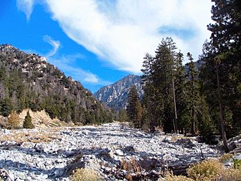 Mill Creek (San Bernardino County).jpg