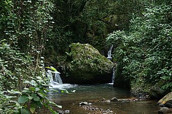 Monte del Estado