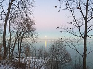 Moonrise on New Year's Day