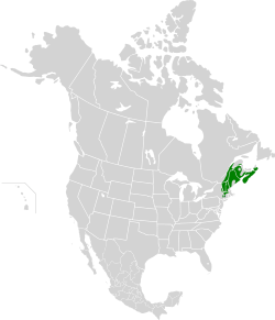 New England-Acadian forests map.svg