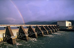 Nickajack Dam.jpg