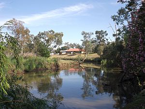 Oakey Creek at Oakey