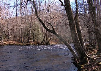 Oconaluftee-river1.jpg