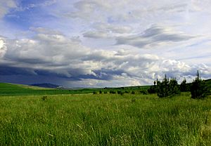 Palouse, moscow, idaho