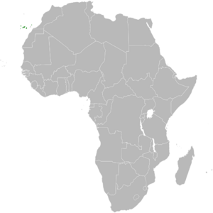 Phylloscopus canariensis distribution map.png