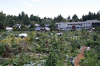 Picardo Farm Seattle