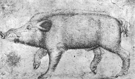 Pisanello, disegni, fitzwilliam museum pd.124.1961