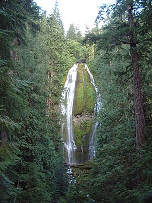 Proxy Falls.JPG