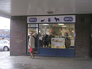 RSPCA - Bramley Shopping Centre - geograph.org.uk - 1779559