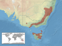 Rankinia diemensis distribution.png