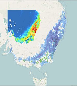 Regent Honeyeater Distribution.jpg