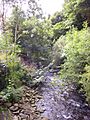 River Rhondda Blaenrhondda