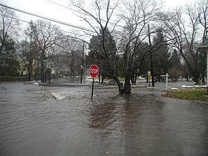 Roosterriverflood