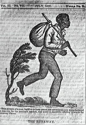 Runaway slave