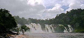 Salto Para.jpg