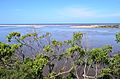 Snowy River mouth at Marlo