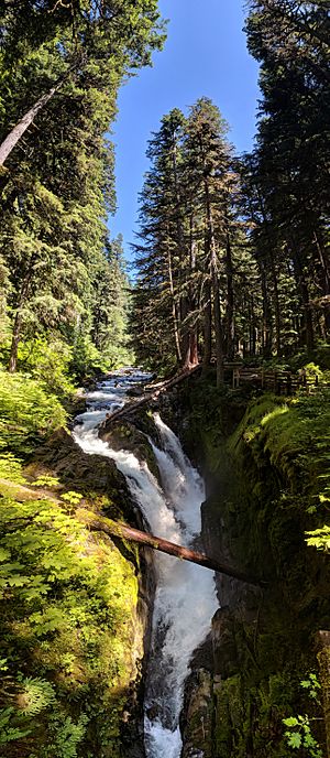 Sol Duc Falls pano