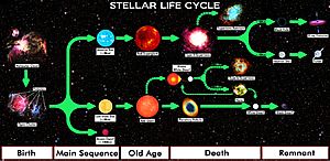 Star Life Cycle Chart