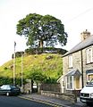 Tomen y Bala - a Norman motte - geograph.org.uk - 462982