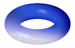 Torus