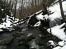 TunxisCompounceCascadeTrailCussgutterBrook.JPG