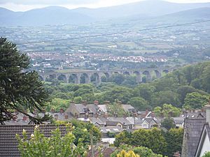 View over Bessbrook - geograph.org.uk - 1362937.jpg