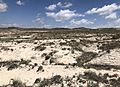 White River Formation Exposure, Weld County, CO