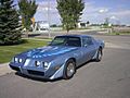 1981 Pontiac Trans Am 1